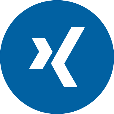 Xing Profil Axel Brugger